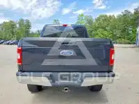 2019 Ford F-150 фото