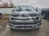 2019 Ford F-150 photo