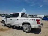 2019 Ford F-150 photo