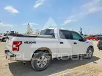 2019 Ford F-150 photo