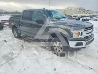 2019 Ford F-150 фото