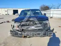 2019 Ford F-150 фото