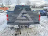 2019 Ford F-150 фото
