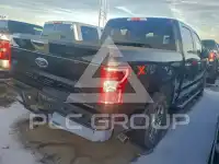 2019 Ford F-150 photo
