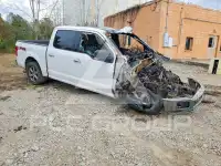 2019 Ford F-150 фото