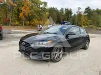 2019 Hyundai Veloster фото