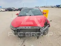 2019 Hyundai Veloster photo