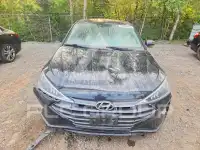 2019 Hyundai Elantra фото