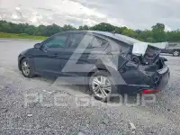 2019 Hyundai Elantra фото