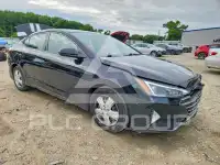 2019 Hyundai Elantra фото