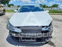 2019 Hyundai Elantra фото