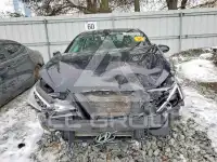 2019 Hyundai Elantra фото
