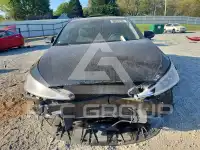2019 Hyundai Elantra фото