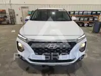 2019 Hyundai Santa Fe фото