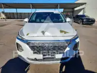2019 Hyundai Santa Fe фото