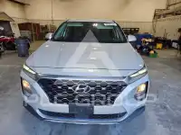2019 Hyundai Santa Fe фото