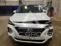 2019 Hyundai Santa Fe фото