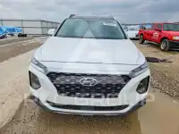 2019 Hyundai Santa Fe фото
