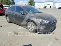 2019 Hyundai Ioniq фото