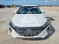 2019 Hyundai Ioniq фото