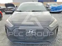 2019 Hyundai Ioniq фото