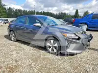 2019 Hyundai Ioniq фото