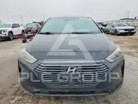 2019 Hyundai Ioniq фото