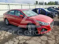 2019 Hyundai Sonata photo