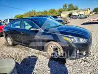 2019 Hyundai Sonata photo