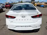 2019 Hyundai Sonata photo