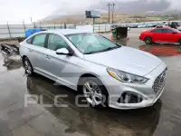 2019 Hyundai Sonata фото