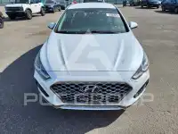 2019 Hyundai Sonata photo