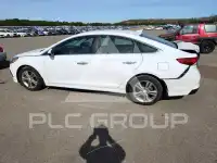 2019 Hyundai Sonata photo