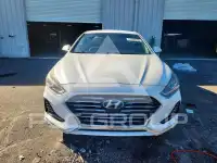 2019 Hyundai Sonata фото