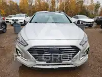 2019 Hyundai Sonata фото