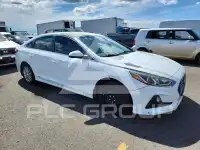 2019 Hyundai Sonata photo