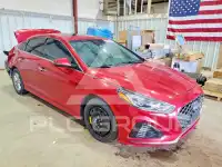 2019 Hyundai Sonata photo