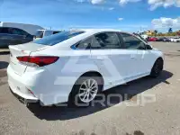 2019 Hyundai Sonata photo