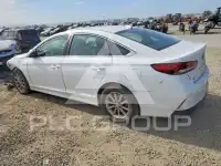 2019 Hyundai Sonata фото