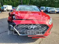 2019 Hyundai Sonata photo