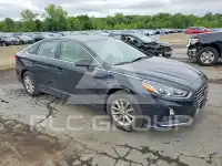 2019 Hyundai Sonata фото