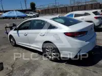 2019 Hyundai Sonata photo