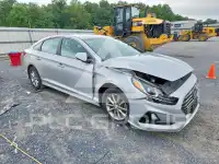 2019 Hyundai Sonata фото