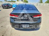 2019 Hyundai Sonata photo