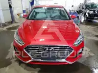2019 Hyundai Sonata photo