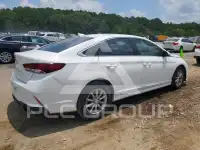 2019 Hyundai Sonata photo