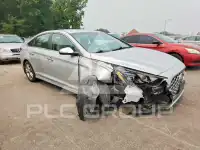 2019 Hyundai Sonata фото