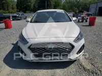 2019 Hyundai Sonata фото