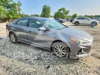 2019 Hyundai Sonata фото