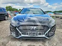 2019 Hyundai Sonata фото